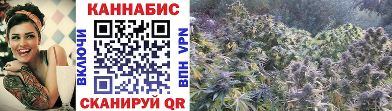 Как найти наркотики Староминская Канабис  A-PVP  Мефедрон 
