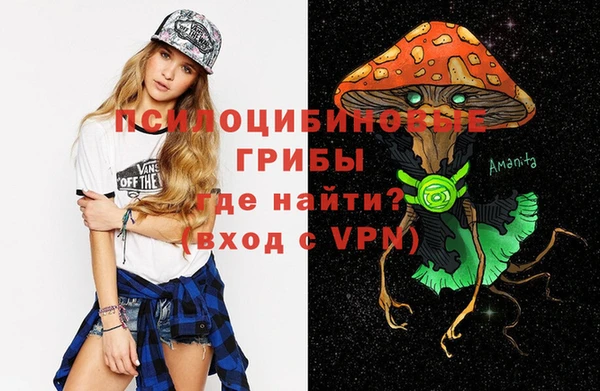 бутират Алексин