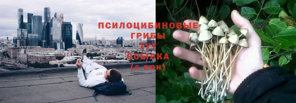 бутират Алексин