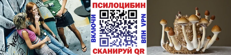 Псилоцибиновые грибы ЛСД нарко площадка как зайти Староминская