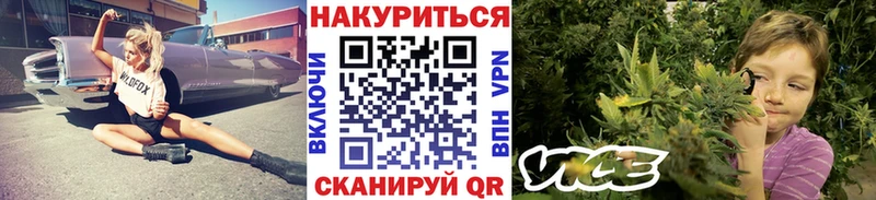 Бошки марихуана Amnesia  Староминская 